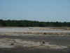PICT0007.jpg (53220 bytes)