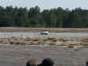 PICT0008.jpg (78670 bytes)